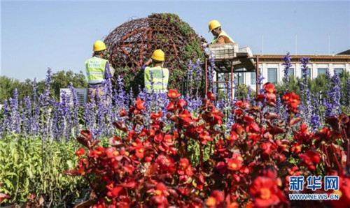 天安門(mén)廣場(chǎng)國(guó)慶花卉開(kāi)始布置