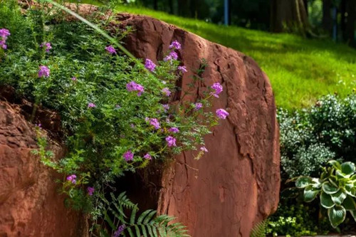 陳躍中:當代語境下的風景園林