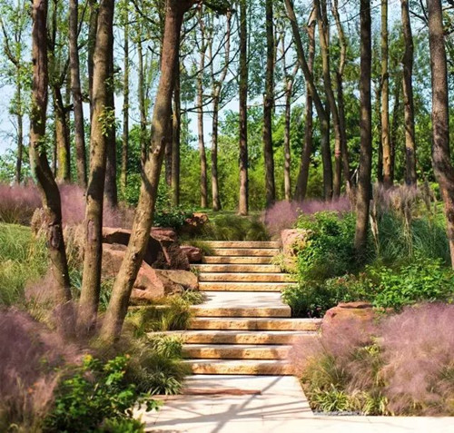 陳躍中:當代語境下的風景園林