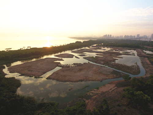 文科園林程智鵬專訪：布局生態文旅促轉型