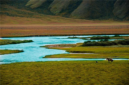 中國最美濕地巴音布魯克,空中草原那拉提