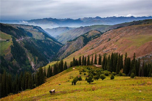 中國最美濕地巴音布魯克,空中草原那拉提