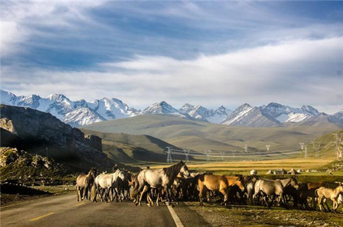 中國最美濕地巴音布魯克,空中草原那拉提