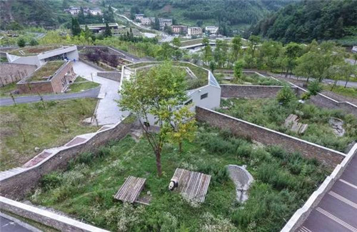 大熊貓國(guó)家公園真是太大了