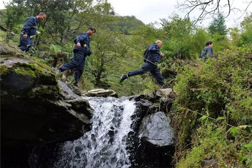 大熊貓國家公園真是太大了
