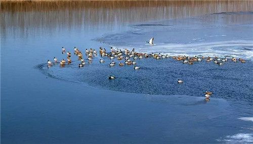 北京60年代兵工廠景觀改造后成度假寶地