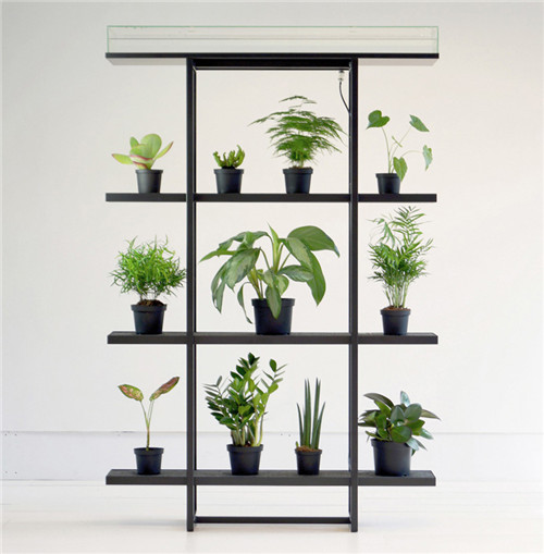 多倫多EDIT設(shè)計(jì)節(jié)新展 將自然帶回城市空間