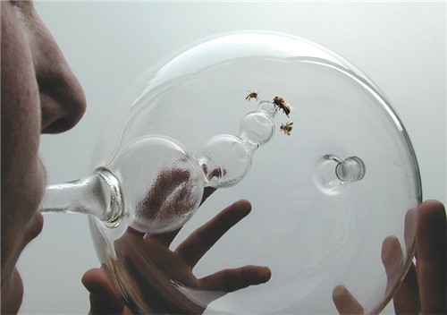 多倫多EDIT設(shè)計(jì)節(jié)新展 將自然帶回城市空間