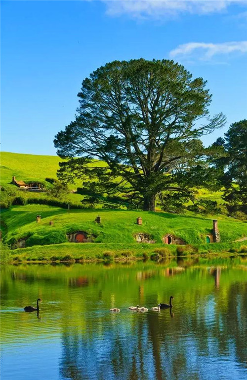 綠植代替瓦片，覆土建筑讓景觀天人合一！