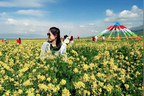 【園冶杯故事】朱李美侖:園冶杯提醒不忘初心