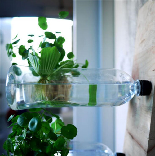 TROP作品:Pok設計的雕塑2