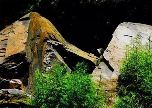 上運石森林公園:秦嶺深處一方美麗的秘境