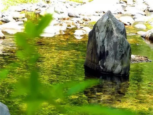 上運石森林公園:秦嶺深處一方美麗的秘境