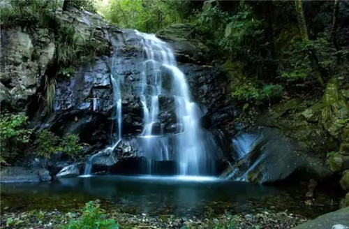 上運石森林公園:秦嶺深處一方美麗的秘境