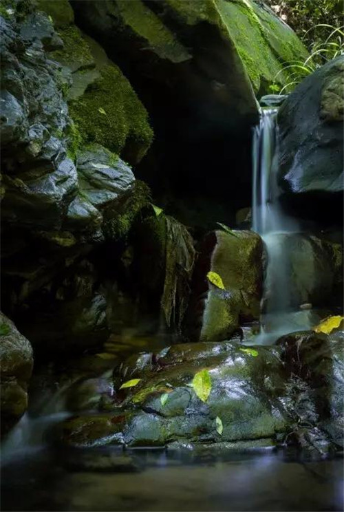 上運石森林公園:秦嶺深處一方美麗的秘境