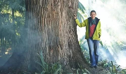 植物有隱藏的記憶？
