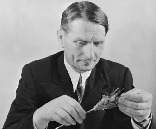 植物有隱藏的記憶？