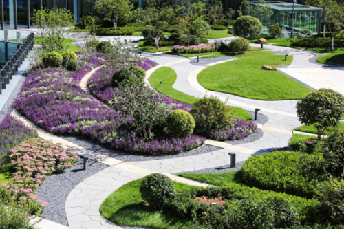 園冶杯專業獎:泰康商學院中心庭院景觀設計