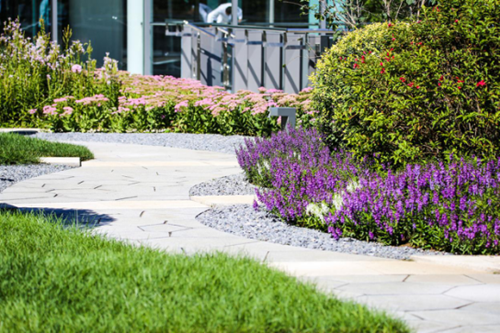 園冶杯專業獎:泰康商學院中心庭院景觀設計