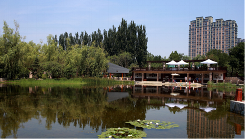 園冶杯專業獎：鴻坤·鳳凰城示范區設計