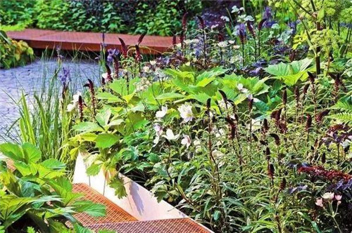 歐洲的花園為何被稱為庭院設計中的典范？