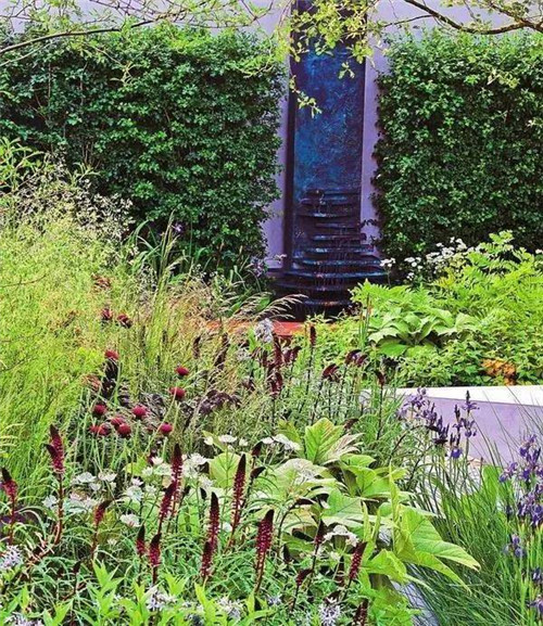 歐洲的花園為何被稱為庭院設計中的典范？