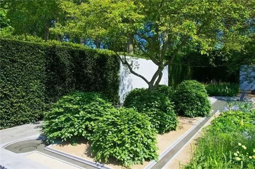 歐洲的花園為何被稱為庭院設計中的典范？