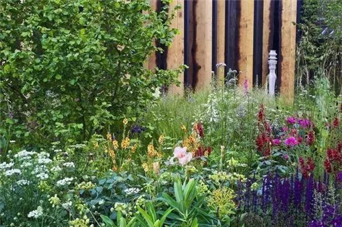 歐洲的花園為何被稱為庭院設(shè)計中的典范？