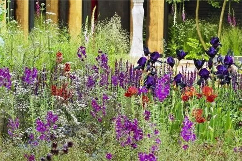 歐洲的花園為何被稱為庭院設(shè)計中的典范？