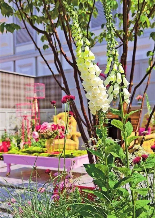 歐洲的花園為何被稱為庭院設計中的典范?