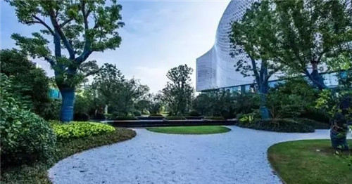 如何讓植物造景在景觀設(shè)計中更有范兒?