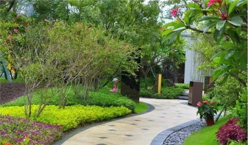 如何讓植物造景在景觀設(shè)計中更有范兒?