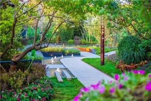 如何讓植物造景在景觀設(shè)計中更有范兒?