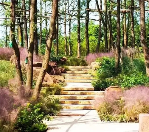 如何讓植物造景在景觀設(shè)計中更有范兒?