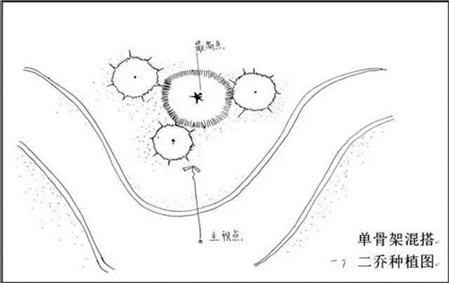 如何讓植物造景在景觀設計中更有范兒？