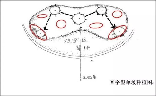 如何讓植物造景在景觀設計中更有范兒？
