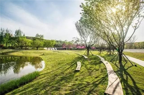 如何讓植物造景在景觀設計中更有范兒？