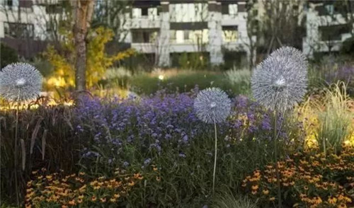 如何讓植物造景在景觀設計中更有范兒？