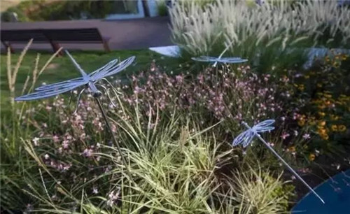 如何讓植物造景在景觀設計中更有范兒？