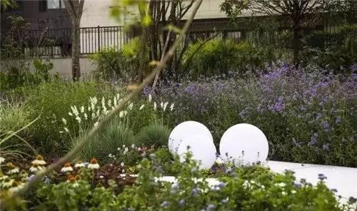 如何讓植物造景在景觀設計中更有范兒？