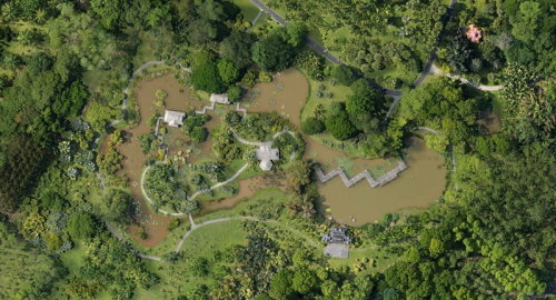 版納植物園將舉辦2017年棕櫚主題科普活動(dòng)