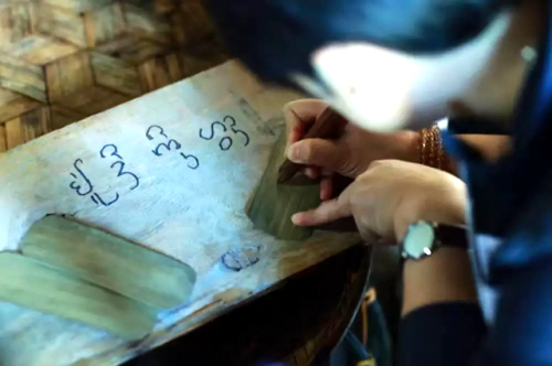 版納植物園將舉辦2017年棕櫚主題科普活動(dòng)