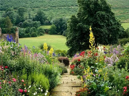 花境：打造天然植物之美