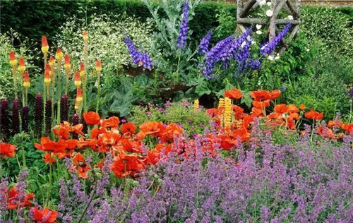 花境：打造天然植物之美