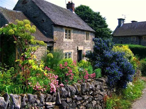 花境：打造天然植物之美