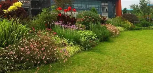 花境：打造天然植物之美