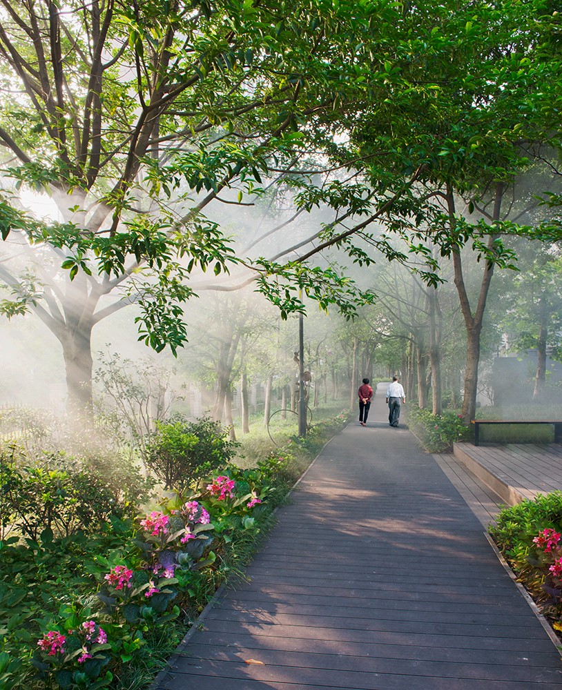 園冶杯專業獎:莫干山路綜合整治工程