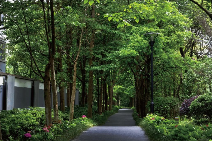 園冶杯專業獎:莫干山路綜合整治工程