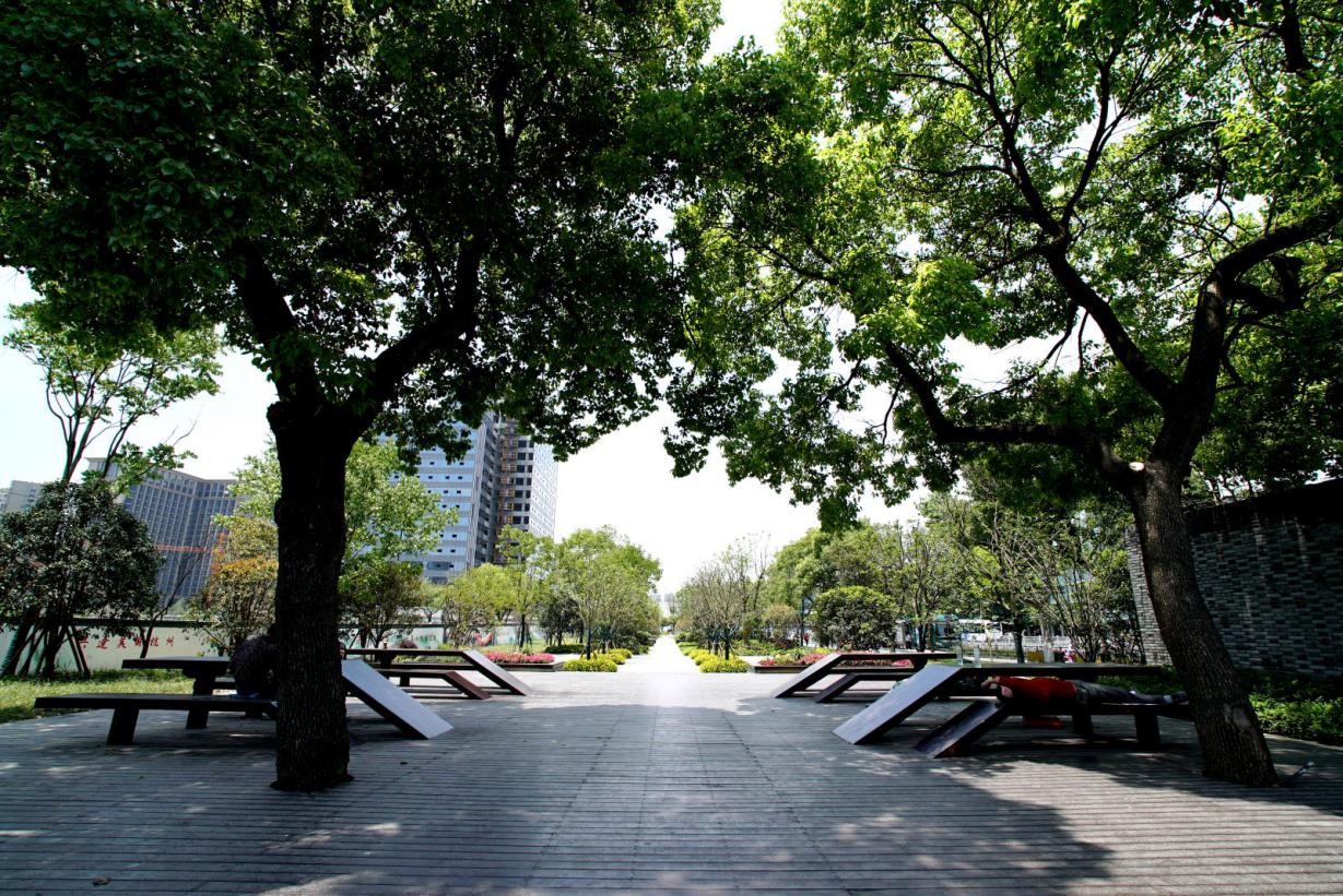 園冶杯專業獎:莫干山路綜合整治工程