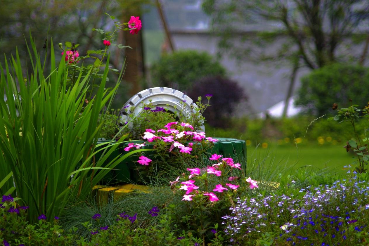 園冶杯專業獎:莫干山路綜合整治工程